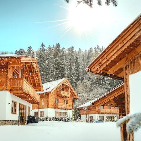 Luxury Chalets Gradenbach Near Schladming Haus im Ennstal Ngoại thất bức ảnh