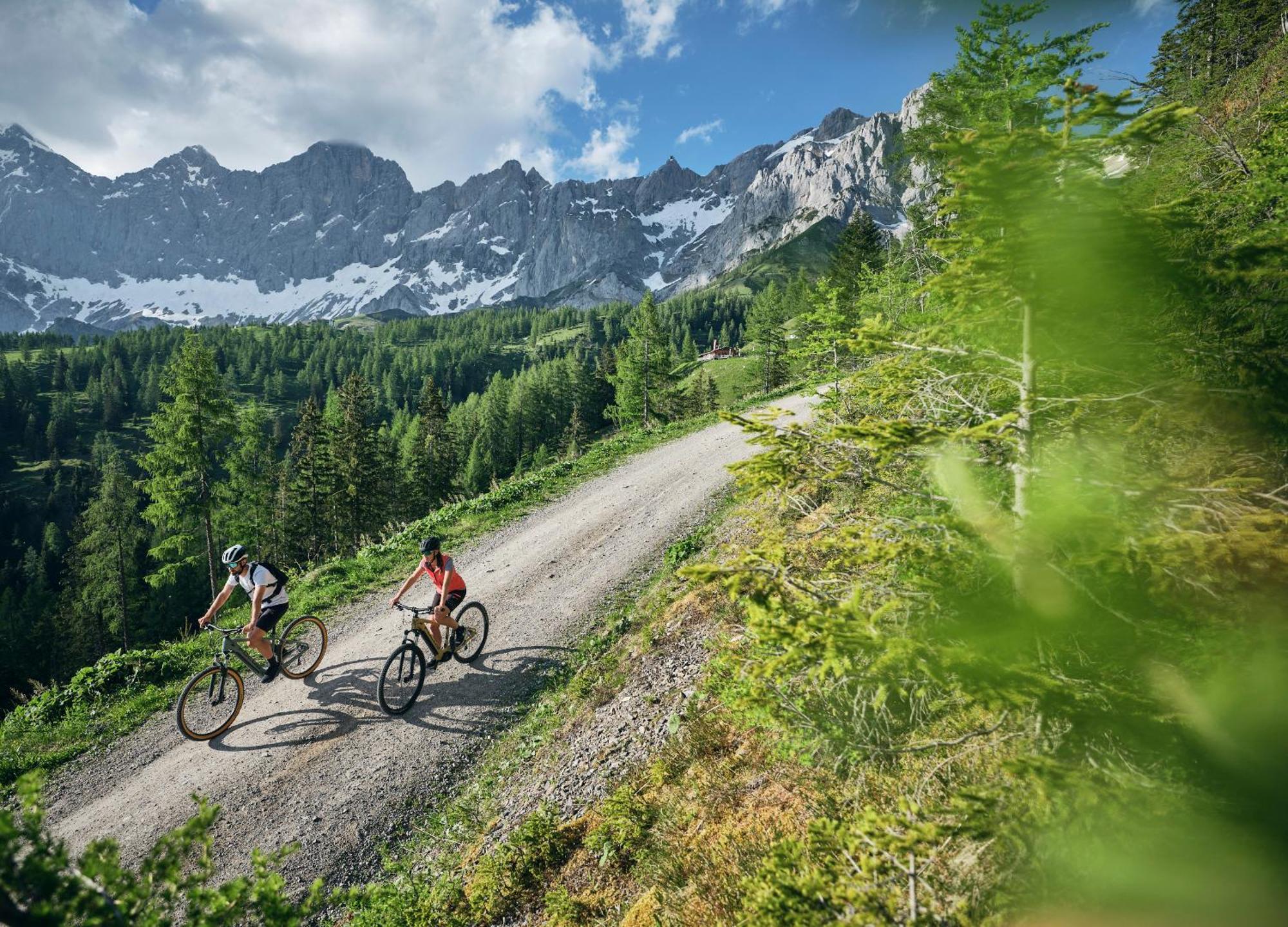 Luxury Chalets Gradenbach Near Schladming Haus im Ennstal Ngoại thất bức ảnh